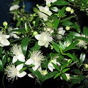 ���� �����, ������������, 56 ��� - ��������� 13 ������ 2013 � ������ ������ ��������