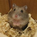  }|{E|{a, --, 50  -  7  2011