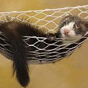 ���� �����, �������, 28 ��� - ��������� 15 ������ 2011