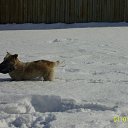 ���� �, ����-�����������, 46 ��� - ��������� 10 ����� 2011 � ������ ��������