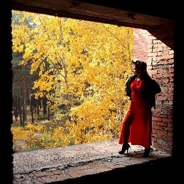 ���� �����, �����-���������, 39 ��� - ��������� 27 ����� 2012