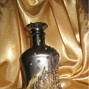 ���� �������, �����������, 51 ��� - ��������� 8 ������ 2011 � ������ ���� �����