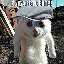 ���� ������, �����������, 53 ���� - ��������� 12 ����� 2013 � ������ ���� ����������