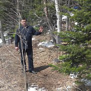 �����, 50 ���, ����-���������