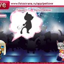 ���� Veto, ����, 72 ���� - ��������� 24 ������� 2010 � ������ �PetLove�