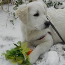 ���� Natali, ������ - ��������� 25 ������� 2012 � ������ �������