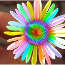 ���� �����, ������, 26 ��� - ��������� 25 ���� 2010 � ������ �������