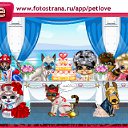  , , 41  -  9  2011   PetLove