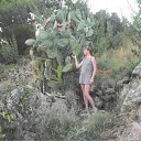  , , 50  -  23  2011    2011.