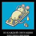 ���� ����, �����, 42 ���� - ��������� 10 ������ 2010 � ������ ��������������