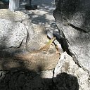 ���� �������, �����-���������, 61 ��� - ��������� 21 ���� 2013