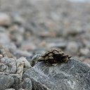 ���� ����, ������, 31 ��� - ��������� 29 ������ 2011