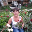 ���� ����������, ������, 58 ��� - ��������� 4 ������� 2013 � ������ ���