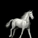 ���� ����, ���� - ��������� 24 ������ 2010 � ������ �������