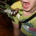 ���� �����, ������, 41 ��� - ��������� 22 ��� 2012