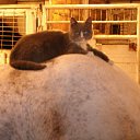 ���� �, �����-���������, 50 ��� - ��������� 9 �������� 2010 � ������ ���������