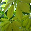 ���� �������, �����, 48 ��� - ��������� 1 ���� 2011 � ������ ���� ������