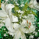 ���� �����, �������, 52 ���� - ��������� 11 ������ 2012