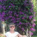 ���� �����, �����-��������� - ��������� 20 ���� 2013 � ������ ���� ����������