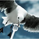 ���� �����, ����������� - ��������� 3 ������� 2009 � ������ ���� ��������