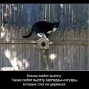 ���� ���������, ���������, 46 ��� - ��������� 29 ������ 2010 � ������ ������� �����...�