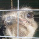 ���� ������, ������, 46 ��� - ��������� 30 �������� 2011