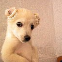 ������� �����!!! �� ������� ��� �������