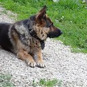 ���� ��������, ��������, 64 ���� - ��������� 1 �������� 2011 � ������ �������