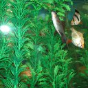 ���� ����, ������ - ��������� 22 ������� 2012 � ������ ���� ��������� �� ���������� �����!!!�