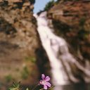  ,  -  22  2012    ߻