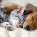 ���� ������, ����, 42 ���� - ��������� 25 ������ 2012 � ������ ���� ����������