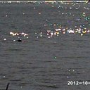 ���� ������, ������, 57 ��� - ��������� 30 ������� 2012 � ������ �������� -�������