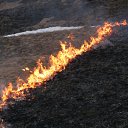 ���� ������, ��������� - ��������� 2 ��� 2010 � ������ ��������