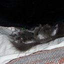  Fab, , 66  -  19  2011   +++