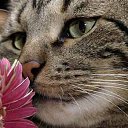 ���� ����. ��������� �� ��!, ������, 72 ���� - ��������� 28 ����� 2011 � ������ �������� ����