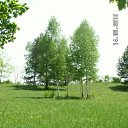  , , 41  -  15  2010   ~   @ ~