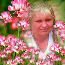  Renata, , 49  -  22  2011    