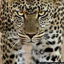 ���� ����, ������, 53 ���� - ��������� 31 ����� 2013 � ������ ���� ����������