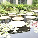 ���� Milda ,Mama, �����������, 42 ���� - ��������� 6 ������� 2012 � ������ �Milda, Mama posetili Longwood gardens�