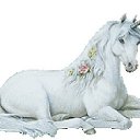  , , 45  -  14  2010   ?!