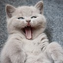 ���� �����, ������, 48 ��� - ��������� 30 ������� 2012 � ������ ���� ����������