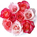 ���� �������, ������ - ��������� 7 ��� 2013 � ������ ���� ����������