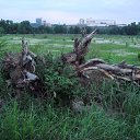   ™, , 54  -  14  2010   Krasnoyarsk