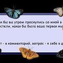 ���� �����, ����-���, 30 ��� - ��������� 19 ��� 2009 � ������ �������