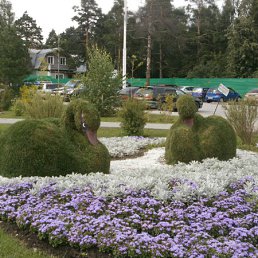 ���� ������� �����, ����������� - ��������� 29 ���� 2011