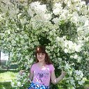 ���� �����, ��� - ��������� 8 ���� 2013 � ������ ���� ����������