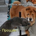 ���� ���������, ����, 53 ���� - ��������� 6 ����� 2013 � ������ ������ ��������