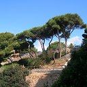 ����� �� ��� �� ������� �������� 2011�