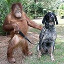 ���� ������, ����������, 55 ��� - ��������� 30 ������ 2013 � ������ ���� ����������