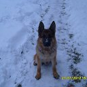 �������.